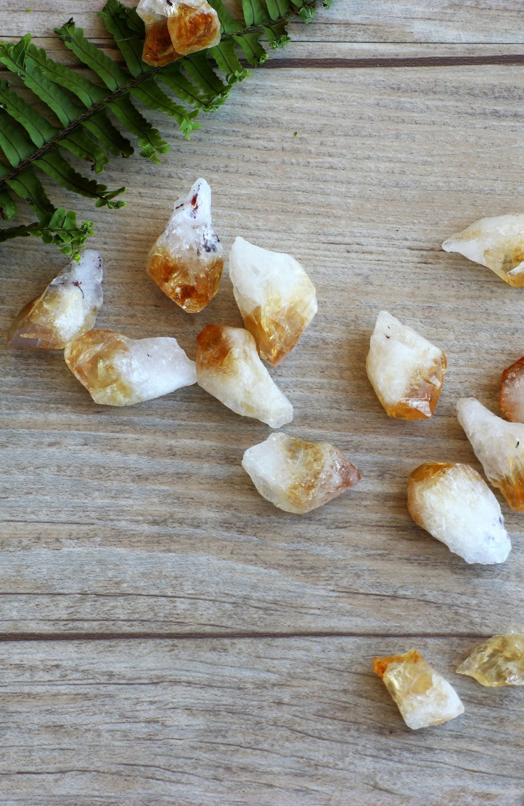 Citrine (Heat Treated) Points (Small)